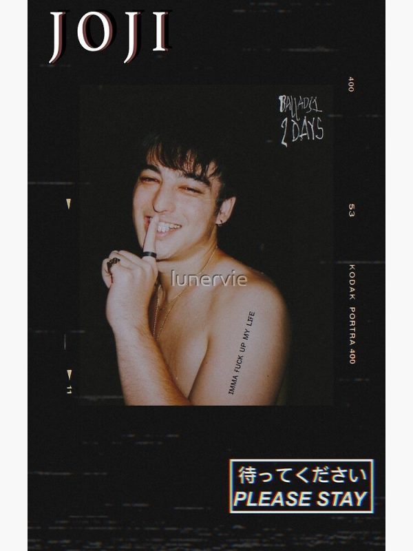 artwork Offical Joji Merch