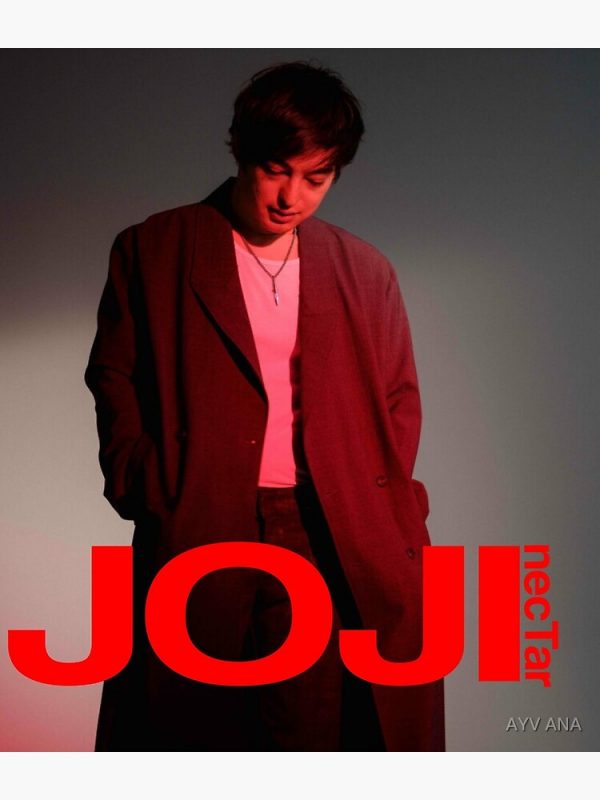 artwork Offical Joji Merch